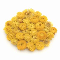 Getrocknete Strohblume 50 g – gelbe Blüten