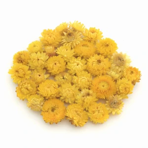 Getrocknete Strohblume 50 g – gelbe Blüten