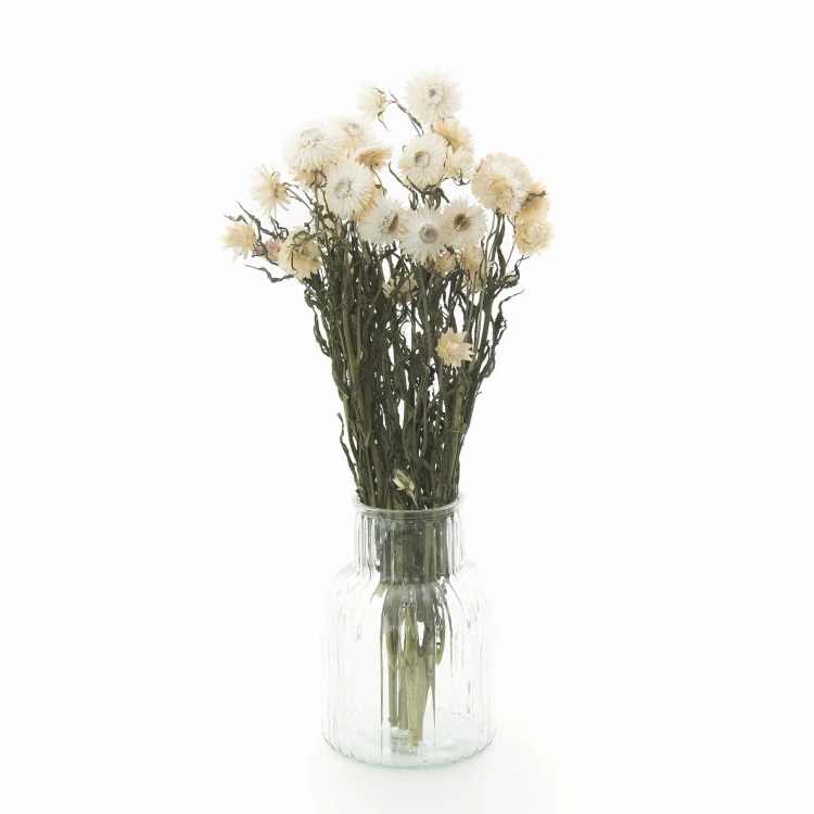 Suszona kocanka biała (Helichrysum) 90g - bukiet