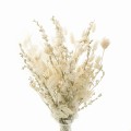_DSC2047.jpg