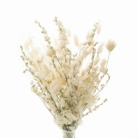 Strauß getrockneter Blumen für die Vase Cream – Rittersporn, Silberblatt, Fenchel