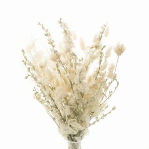 Strauß getrockneter Blumen für die Vase Cream – Rittersporn, Silberblatt, Fenchel
