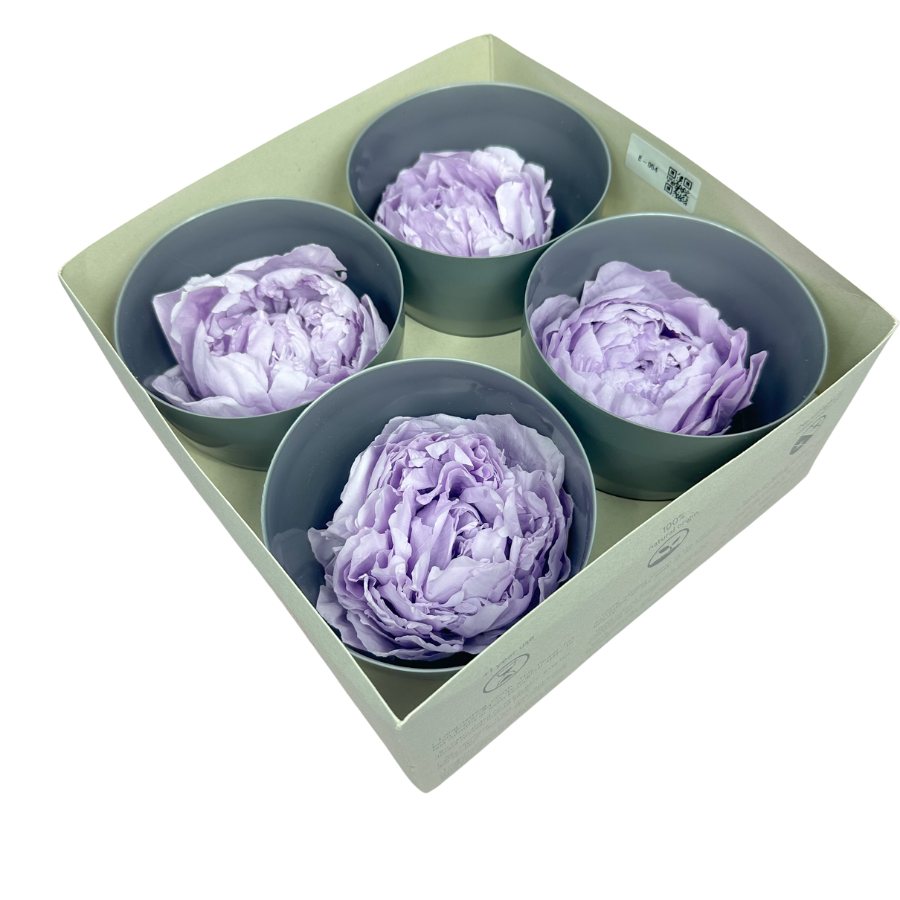 Preserved peony light violet 4 pcs.