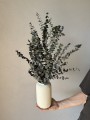IMG_8025.JPEG