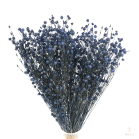 Getrockneter dunkelblauer Flachs – Strauß 90 g – getrocknete Blüten