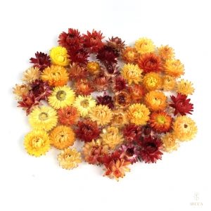 Getrocknete Strohblumen 50 g – orangefarbene Blüten