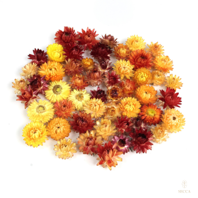 Getrocknete Strohblumen 50 g – orangefarbene Blüten