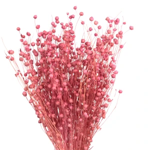 Rosa Flachs – getrocknete Blumen 90 g