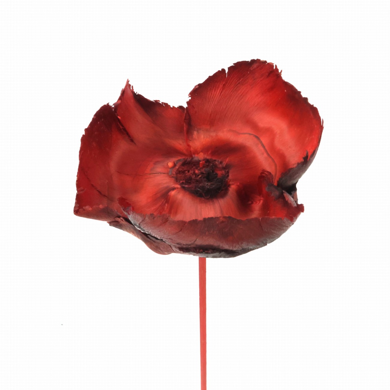 Walnut flower - palm cup red