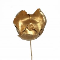 Goldfarbene Walnussblüte – getrockneter Palm Cup
