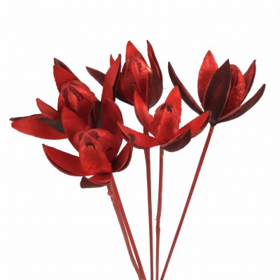 Getrocknete rote Lilie – exotisches Trockenblumengemisch