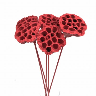 Lotusblüte rot 3 Stück – exotische Trockenblume