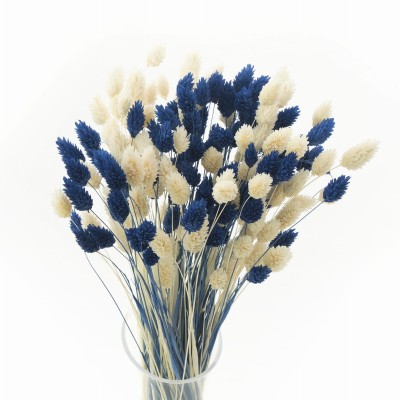 Dried grasses bouquet phalaris bleached & phalaris dark blue