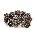 Suszone szyszki sosnowe (pine cone) frosted do dekoracji