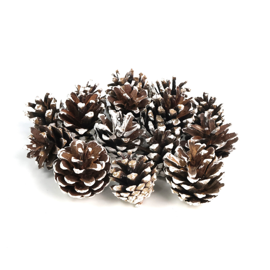 Dried pine cones frosted 5pcs. - holiday decorations