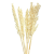sorg.png