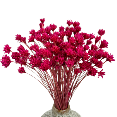 Hill flower dark pink - dried flowers 80g