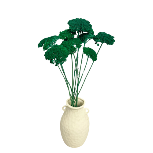 krwawnik suszony petrol 1