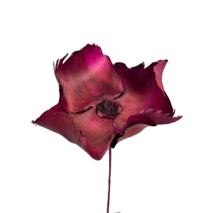 Fuchsia-Nussbaumblüte – getrockneter Palm Cup