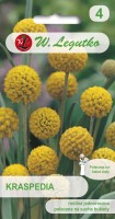 Craspedia seeds - flowers for dry bouquets
