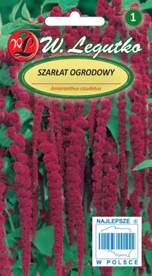 Amaranthus seeds - flowers for dry bouquets