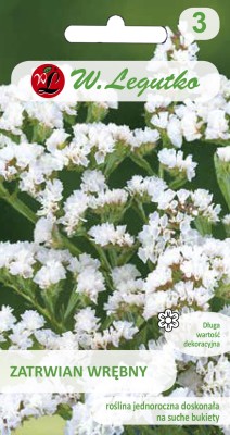 White statice seeds - flowers for dry bouquets