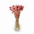 Phalaris Duo Red&Pink