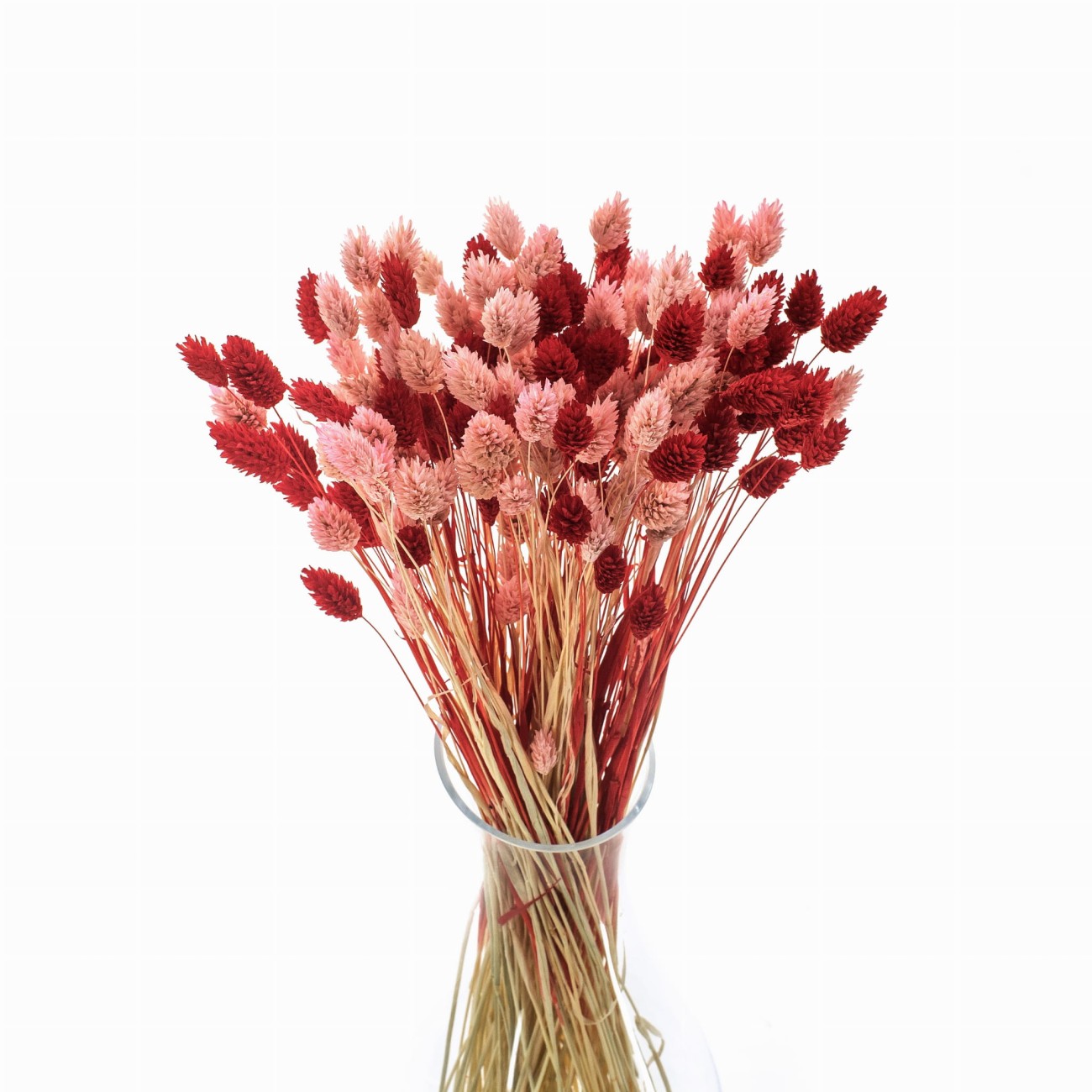 Dried grasses bouquet phalaris light pink & phalaris red
