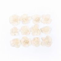 Shola-Blume – weiße Margerite 3 cm