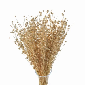 Getrockneter gebleichter Flachs – Strauß 90 g – getrocknete Blüten