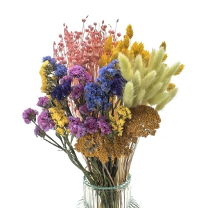 Set getrockneter Blumen Spring – Strohblume, Phalaris, Schafgarbe