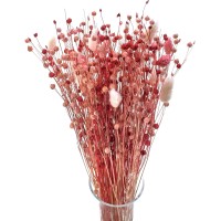 Dried flowers bouquet Red size S vase - flax, phalaris, lagurus