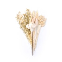 Getrocknete Blumen für Torten – Set Extra White