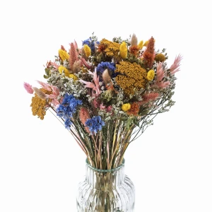 Getrockneter Blumenstrauß Meryl Premium – Schafgarbe, Kraspedia, Phalaris