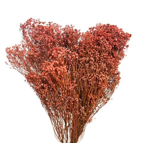 broombr.png