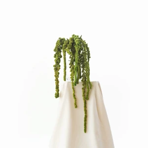 Stabilisierter Amaranthus-Ball, grün (Amarant) – Strauß