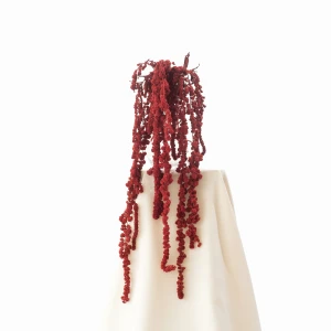 Stabilisierte rote Amaranthus-Kugel (Amarant) – Strauß