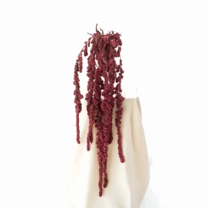 Stabilisierte Amaranthus-Kugel in Bordeauxrot (Amarant) – Blumenstrauß