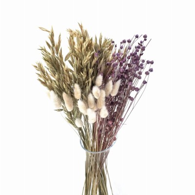 Set getrockneter Lilac-Blumen Größe S – Flachs, Hafer, Eierblume