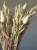 IMG_5434.JPEG
