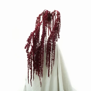 Stabilisierter Amaranthus in Bordeauxrot (Amarant) – Strauß