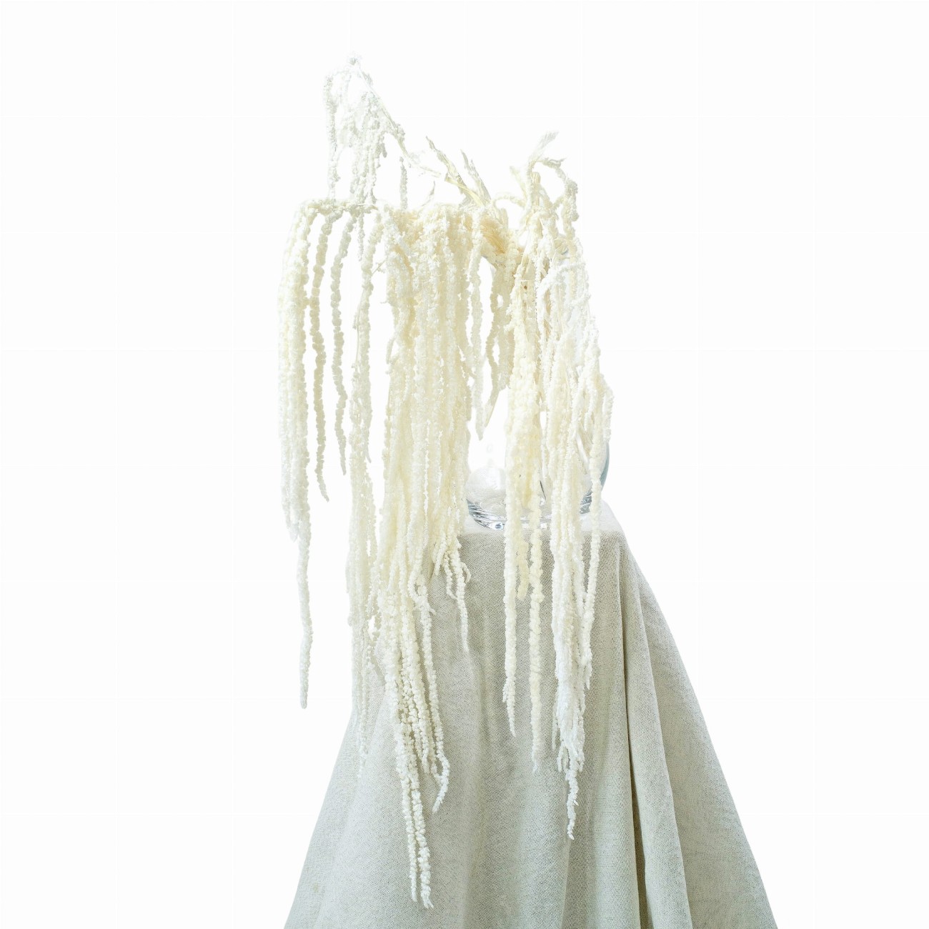 Stabilisierter Amaranthus, gebleicht (Amarant) – Strauß