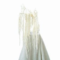 Stabilisierter Amaranthus, gebleicht (Amarant) – Strauß