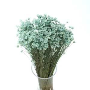 Getrocknete Minze Gliksia, Gliksia 50 g – getrocknete Blüten