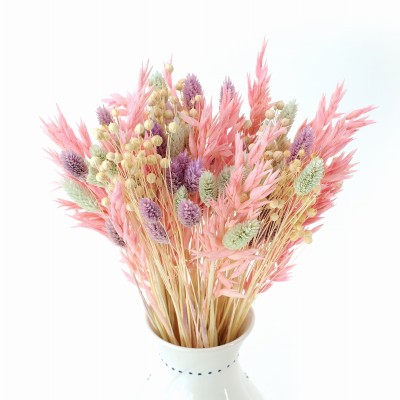 Dried flowers bouquet Colorful