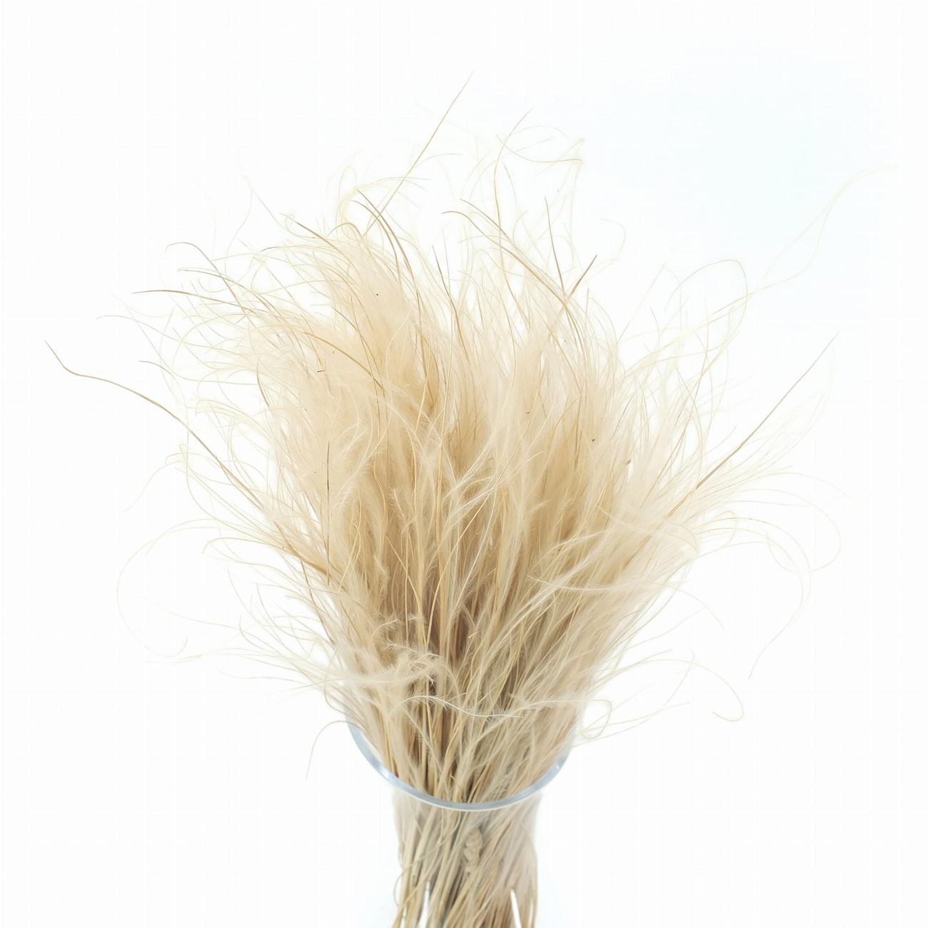 Stipa Pennata natural 50 g- dried grasses