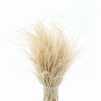 Stipa Pennata natural 50 g- dried grasses