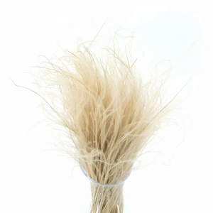 Stipa Pennata  natürlich 50 g – Federgras, getrocknete Gräser
