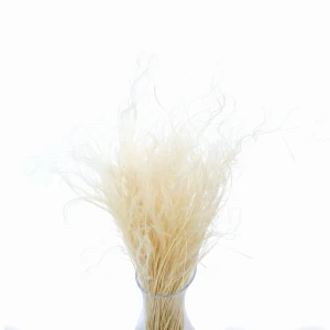 Stipa Pennata  gebleicht 50 g – Federgras, getrocknete Gräser