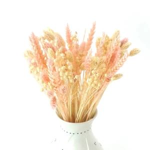 Trockenblumenstrauß White&Pink – Weizen, Flachs, Phalaris